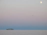 Малоріченське з panoramio.com