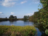 природа села сари