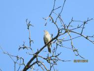 Добрий день Погоріла!