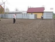 ЯК У РОЖНАХ КАРТОПЛЮ САДЯТЬ