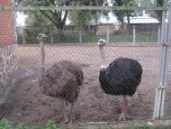 МОНАСТИРСЬКИЙ ЛАНДШАФТНИЙ ПАРК