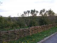 ШЕВЧЕНКІВСЬКА ХАТА