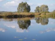 природа села сари