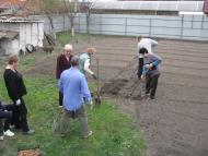 ЯК У РОЖНАХ КАРТОПЛЮ САДЯТЬ