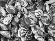 Добрий день Погоріла!