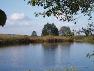 природа села сари