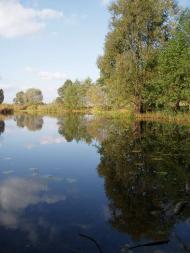 природа села сари