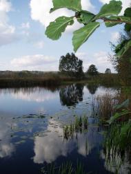 природа села сари