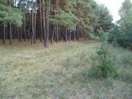 природа села сари