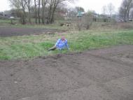 ЯК У РОЖНАХ КАРТОПЛЮ САДЯТЬ