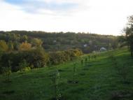 ШЕВЧЕНКІВСЬКА ХАТА