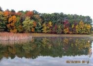 Добрий день Погоріла!