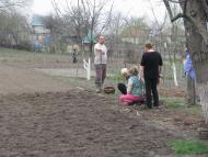 ЯК У РОЖНАХ КАРТОПЛЮ САДЯТЬ