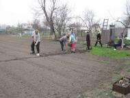 ЯК У РОЖНАХ КАРТОПЛЮ САДЯТЬ