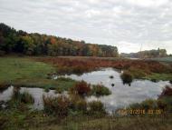 Добрий день Погоріла!