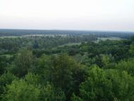 природа села сари