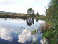 природа села сари