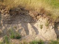 природа села сари