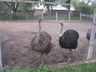 МОНАСТИРСЬКИЙ ЛАНДШАФТНИЙ ПАРК