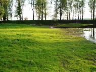 природа села сари