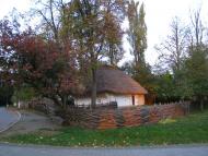 ШЕВЧЕНКІВСЬКА ХАТА