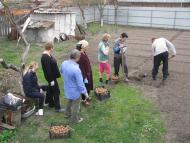 ЯК У РОЖНАХ КАРТОПЛЮ САДЯТЬ