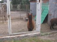 МОНАСТИРСЬКИЙ ЛАНДШАФТНИЙ ПАРК