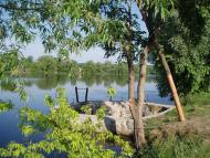 природа села сари