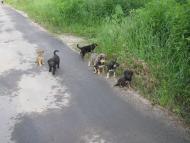 НА ДИТЯЧОМУ МАЙДАНЧИКУ