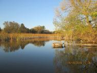 Добрий день Погоріла!