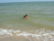 Строганівка