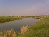 Строганівка - Останні фото