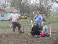 ЯК У РОЖНАХ КАРТОПЛЮ САДЯТЬ