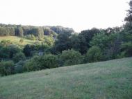 природа села сари