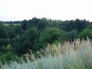 природа села сари