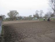 ЯК У РОЖНАХ КАРТОПЛЮ САДЯТЬ