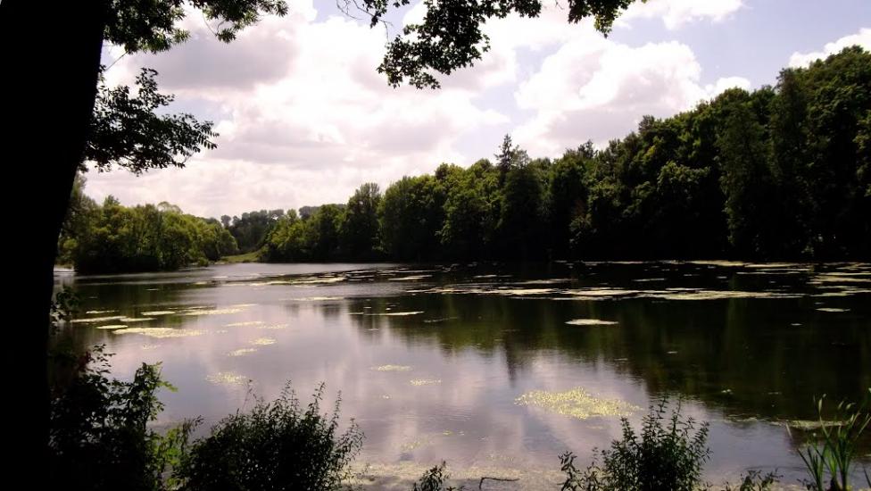 Блищанівка з panoramio.com - Блещановка