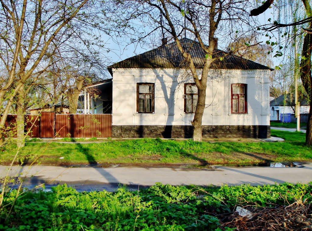 Гудзівка з panoramio.com - Гудзівка