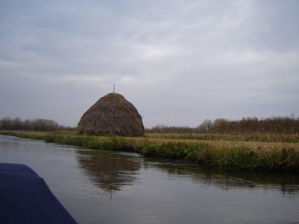 Вовчиці з panoramio.com - Вовчиці