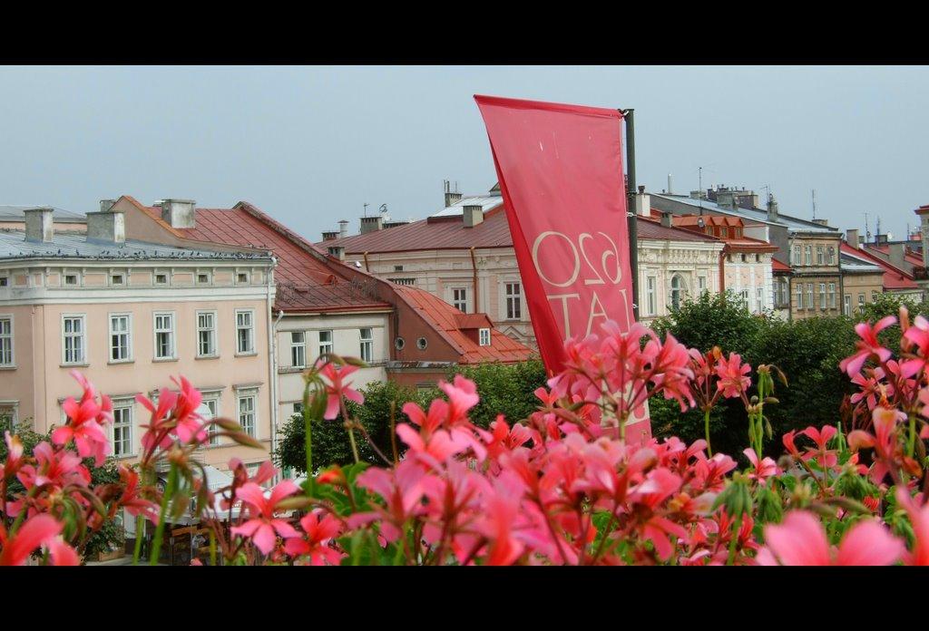 Нижанковичі з panoramio.com (ч.2) - Нижанковичі