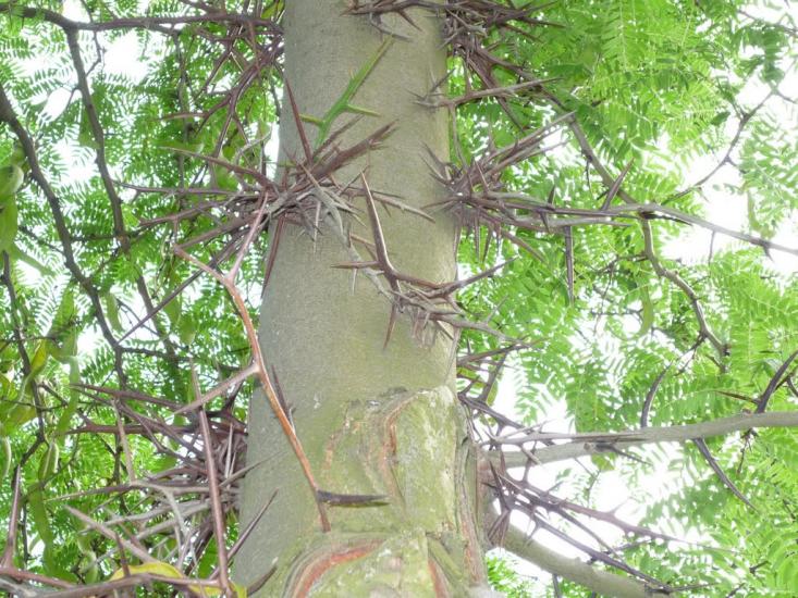 Бердянськ з panoramio.com (ч.3) - Бердянськ