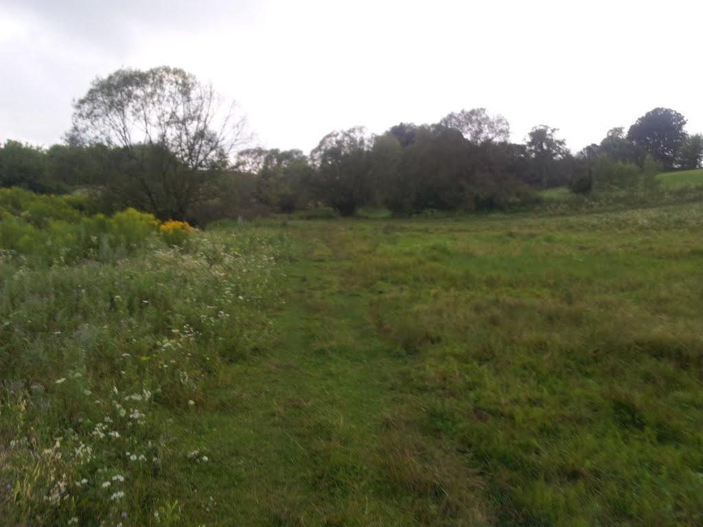 Темногайці з panoramio.com - Темногайці