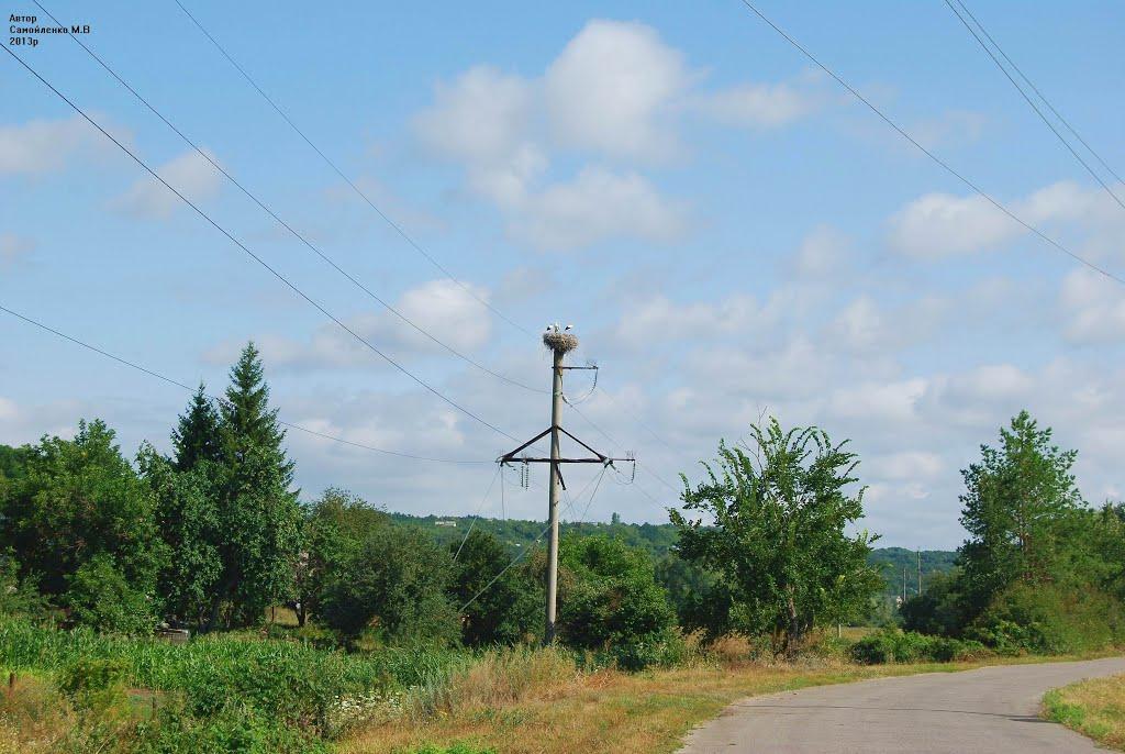 Петрівка з panoramio.com - Петрівка
