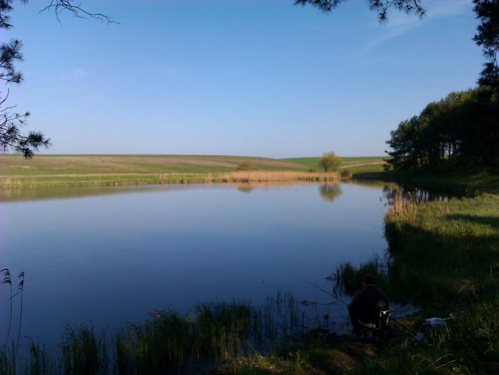 Шепель з panoramio.com - Шепель