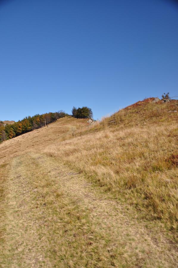 Гусний з panoramio.com - Гусний