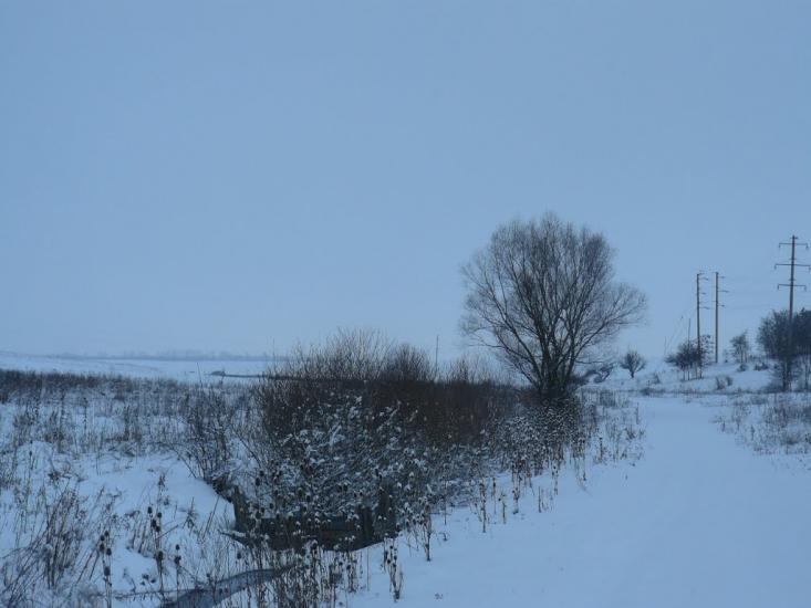 Копичинці з panoramio.com - Копичинці