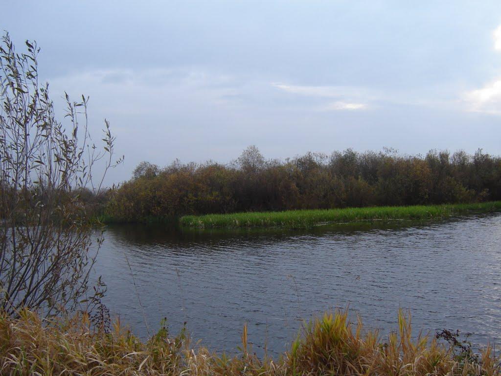 Вовчиці з panoramio.com - Вовчиці