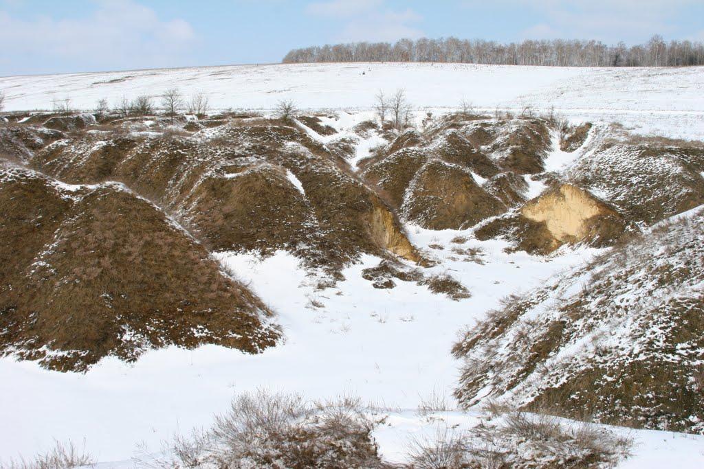 Велика Бугаївка з panoramio.com - Velyka Bugayivka