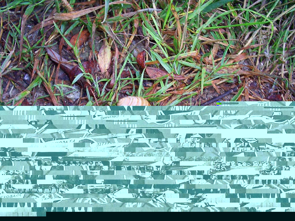 Яськи з panoramio.com - Яськи