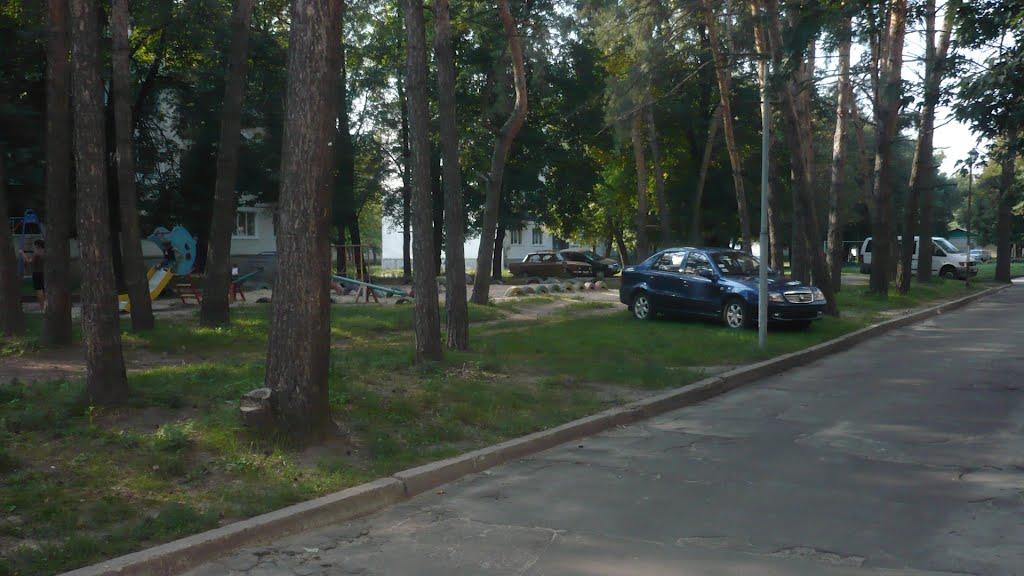 Десна з panoramio.com - Десна